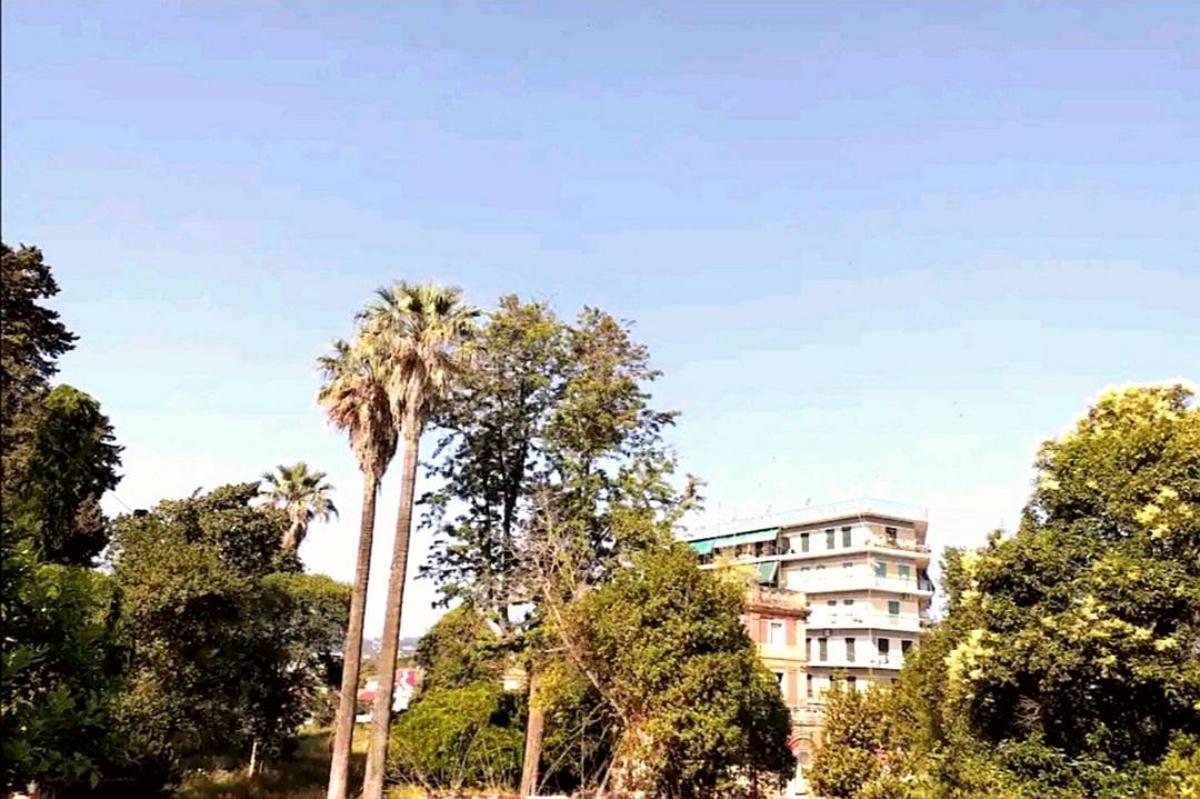 Villa Rosa Garden House Corfu  Extérieur photo