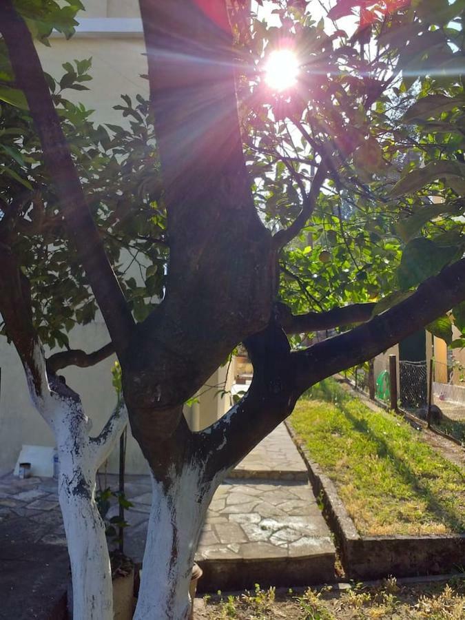 Villa Rosa Garden House Corfu  Extérieur photo