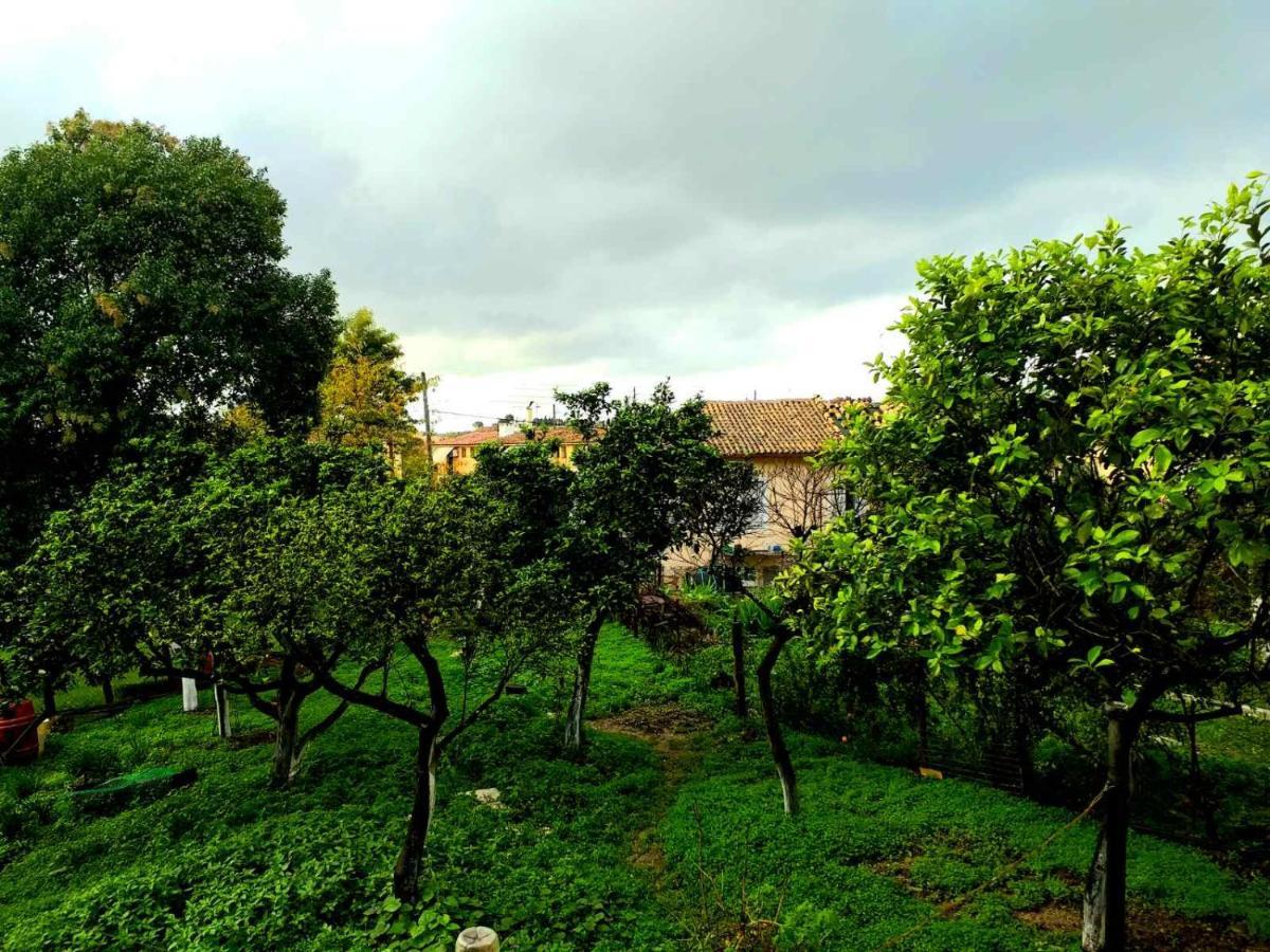 Villa Rosa Garden House Corfu  Extérieur photo